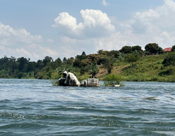 River Nile Facts, Length, History, the Source and Importance