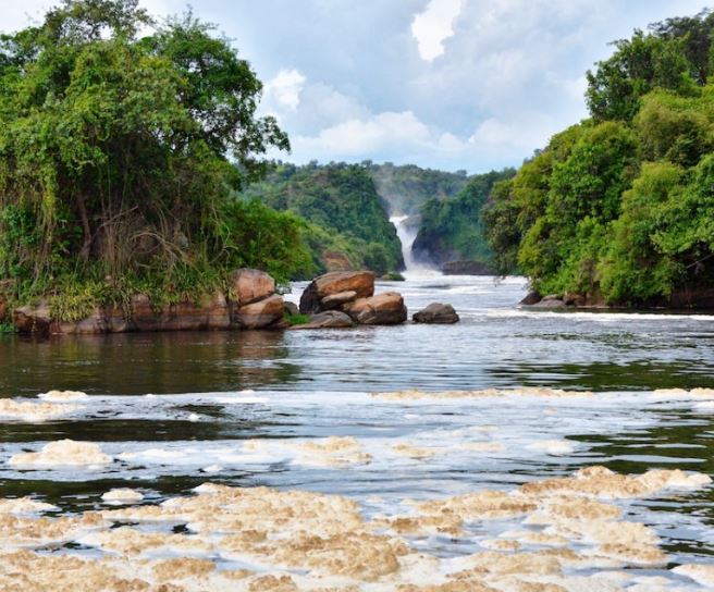 Murchison Falls National Park Experience