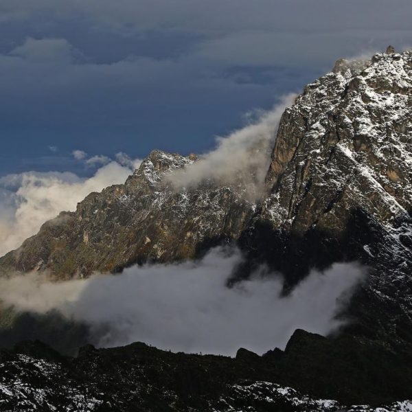 Rwenzori Mountain Trekking Experience